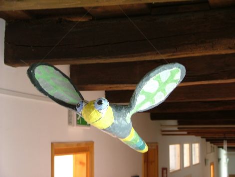 dscf8183.jpg